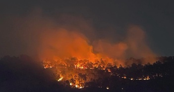 Gần 200 người được huy động khống chế đám cháy rừng ở Hải Phòng
