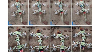 Trung Quốc trình làng robot giống thằn lằn sa mạc thám hiểm sao Hỏa