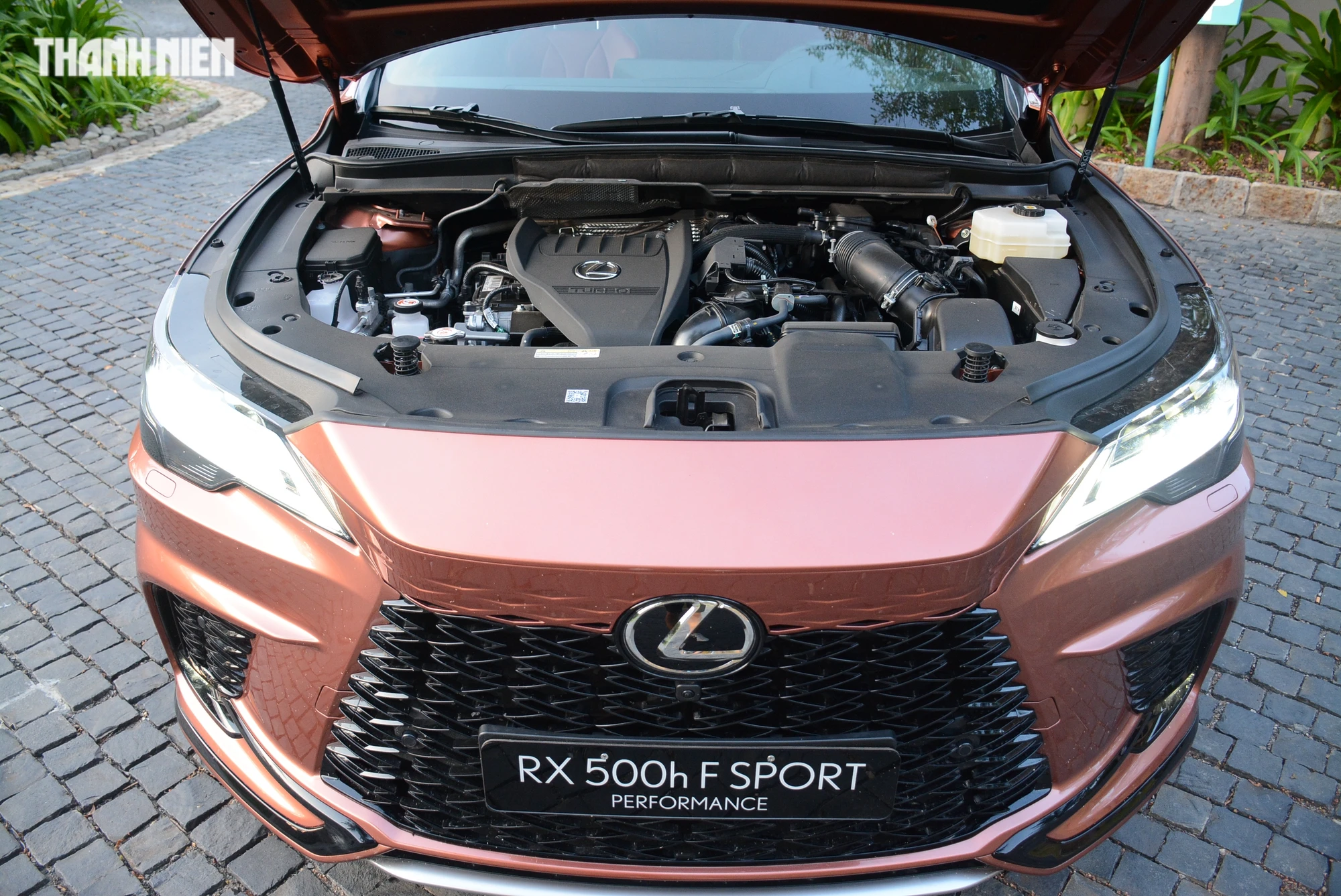 Cận cảnh Lexus RX 2023 bản 'xịn' nhất tại Việt Nam, giá 4,94 tỉ đồng - Ảnh 10.