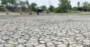 Ấn Độ chuẩn bị đón mùa hè nóng hơn trong năm nay vì El Nino Ấn Độ chuẩn bị đón mùa hè nóng hơn trong năm nay vì El Nino