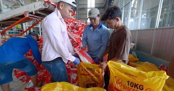 Lập sàn giao dịch lúa gạo để minh bạch thị trường Lập sàn giao dịch lúa gạo để minh bạch thị trường