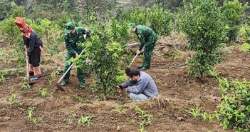 Xây dựng lực lượng biên phòng tại Quảng Ninh đáp ứng yêu cầu trong tình hình mới