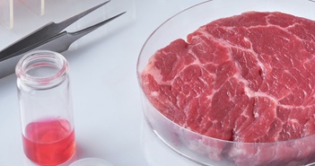 Thịt nhân tạo – Xu thế của tương lai và làn sóng tranh cãi tại Mỹ Thịt nhân tạo – Xu thế của tương lai và làn sóng tranh cãi tại Mỹ