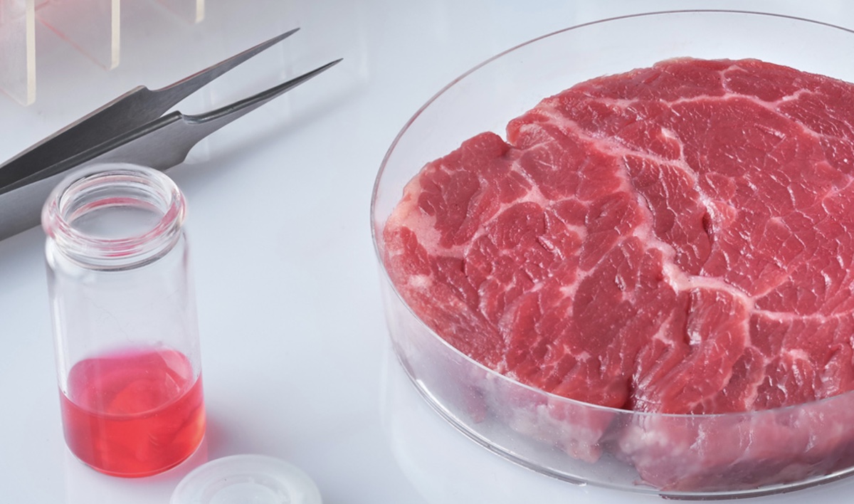 Thịt nhân tạo – Xu thế của tương lai và làn sóng tranh cãi tại Mỹ