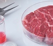 Thịt nhân tạo – Xu thế của tương lai và làn sóng tranh cãi tại Mỹ