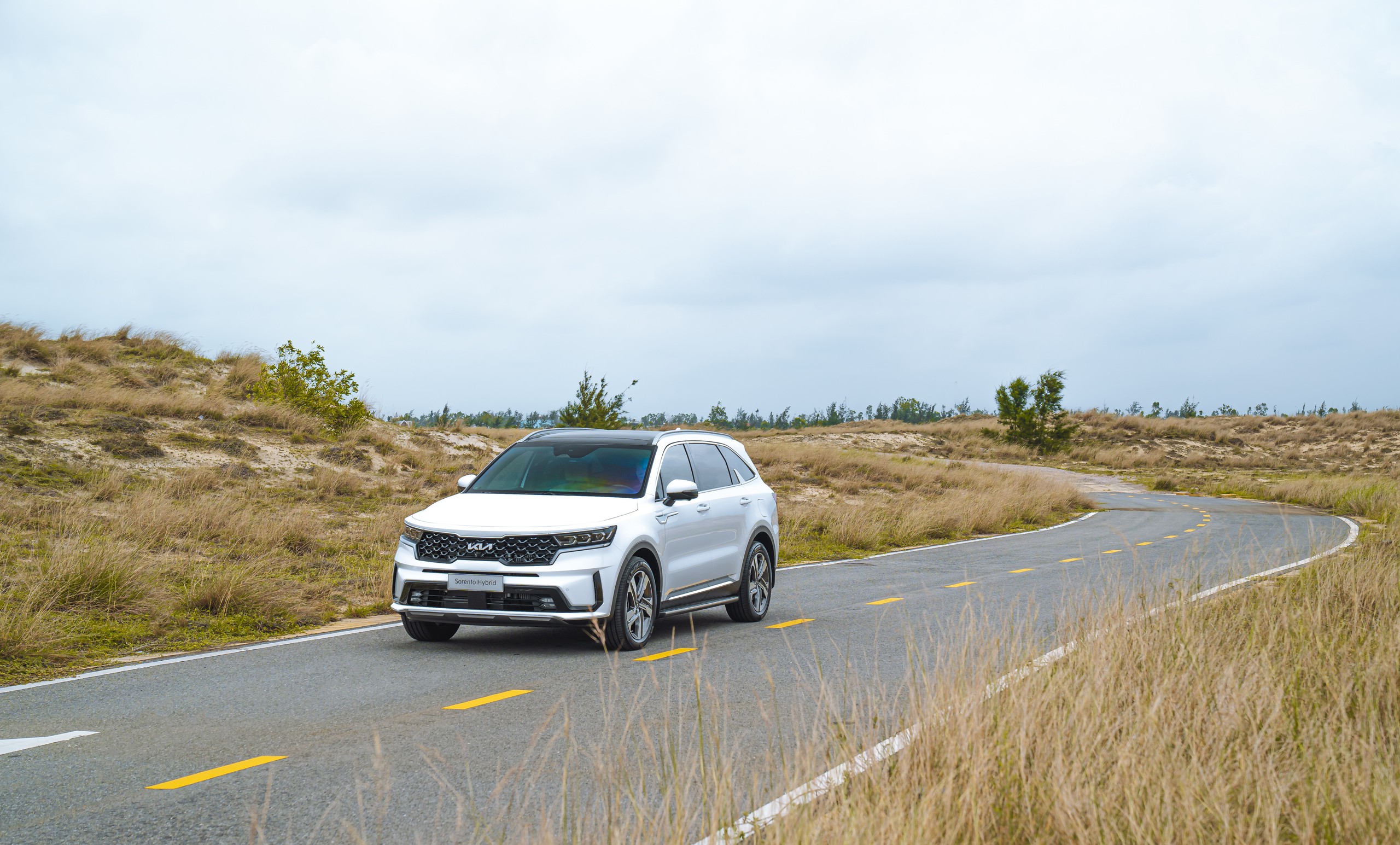 Kia Sorento thắng lớn tại Hàn Quốc nhờ các phiên bản Hybrid- Ảnh 2. Kia Sorento thắng lớn tại Hàn Quốc nhờ các phiên bản Hybrid- Ảnh 2.