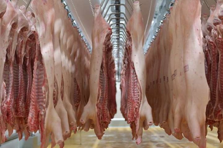 Mua thịt lợn nhập khẩu giá rẻ ở đâu?