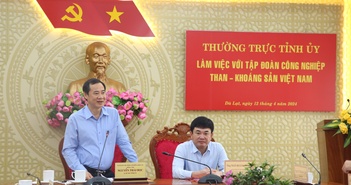 TKV làm việc cùng Tỉnh ủy Lâm Đồng về tăng cường đầu tư, sản xuất TKV làm việc cùng Tỉnh ủy Lâm Đồng về tăng cường đầu tư, sản xuất