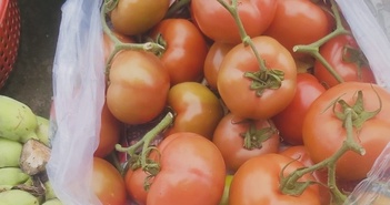 12 tác hại của việc ăn cà chua quá nhiều