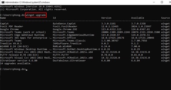 Mẹo cập nhật toàn bộ ứng dụng trên máy tính Windows bằng CMD Mẹo cập nhật toàn bộ ứng dụng trên máy tính Windows bằng CMD