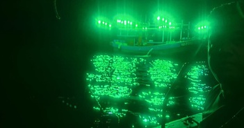 Phát hiện 'vầng sáng lạ' ở thị trấn biển Malaysia Phát hiện 'vầng sáng lạ' ở thị trấn biển Malaysia