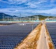 Vì sao Công ty TNHH điện mặt trời Trung Nam Thuận Nam kêu cứu?