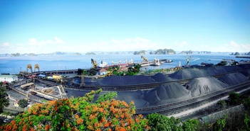 Tuyển than Cửa Ông triển khai “chủ trương 1, biện pháp 10, quyết liệt 20” Tuyển than Cửa Ông triển khai “chủ trương 1, biện pháp 10, quyết liệt 20”