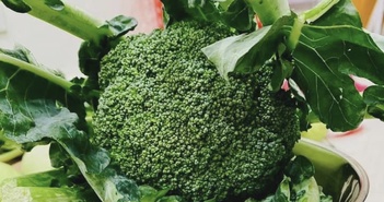 Bất ngờ về sức khỏe khi nam giới ăn các loại rau giàu protein mỗi ngày Bất ngờ về sức khỏe khi nam giới ăn các loại rau giàu protein mỗi ngày