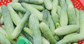 Uống ép dưa chuột mỗi ngày, chuyện gì xảy ra với sức khỏe? Uống ép dưa chuột mỗi ngày, chuyện gì xảy ra với sức khỏe?