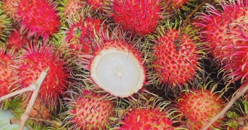 Lợi ích sức khoẻ khi ăn chôm chôm Lợi ích sức khoẻ khi ăn chôm chôm