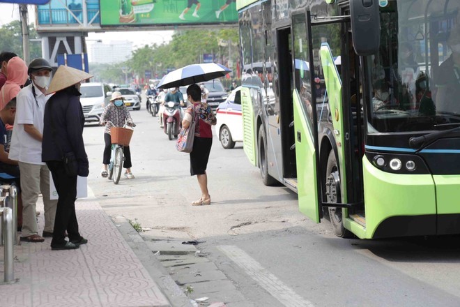 Thời gian qua, nhiều lái xe buýt trên địa bàn TP Hà Nội bị lực lượng chức năng kiểm tra, xử phạt lỗi vi phạm dừng đón trả khách sai quy định