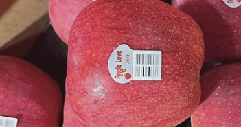 7 loại trái cây giàu chất xơ giúp bạn đạt được mục tiêu giảm cân 7 loại trái cây giàu chất xơ giúp bạn đạt được mục tiêu giảm cân