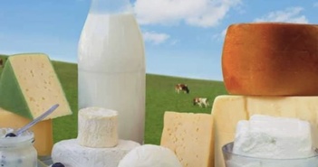 Những lợi ích sức khỏe của chế độ ăn không chứa lactose Những lợi ích sức khỏe của chế độ ăn không chứa lactose