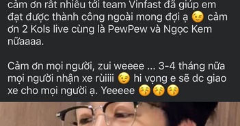 ViruSs "chốt đơn" tới 98 chiếc VinFast VF 3 ngay trong lần đầu livestream, doanh thu hơn 31 tỷ đồng ViruSs "chốt đơn" tới 98 chiếc VinFast VF 3 ngay trong lần đầu livestream, doanh thu hơn 31 tỷ đồng