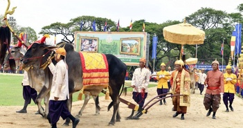 Campuchia khai hội Tịch điền 2024 Campuchia khai hội Tịch điền 2024