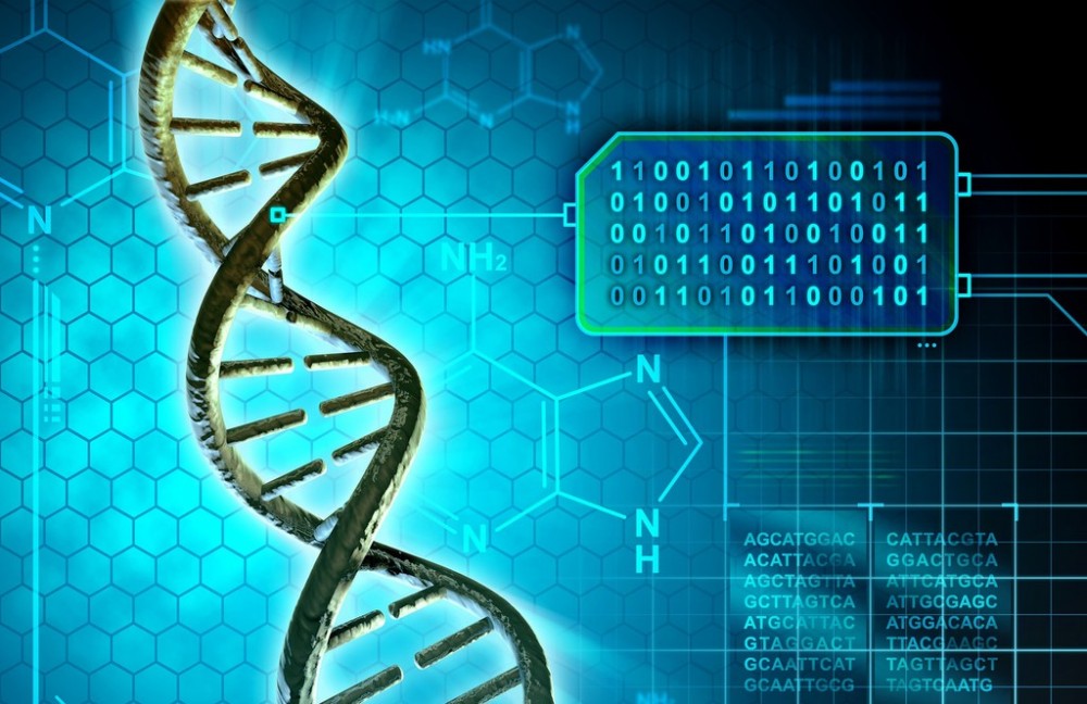 DNA của con người có thể thay thế ổ cứng để lưu trữ dữ liệu?