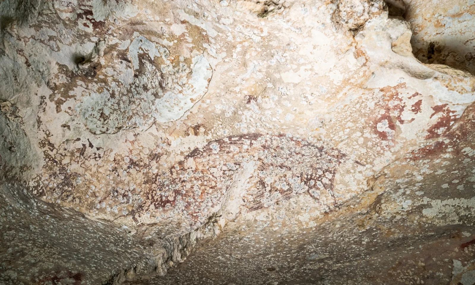Phát hiện tác phẩm nghệ thuật lâu đời nhất thế giới trong hang động ở Indonesia