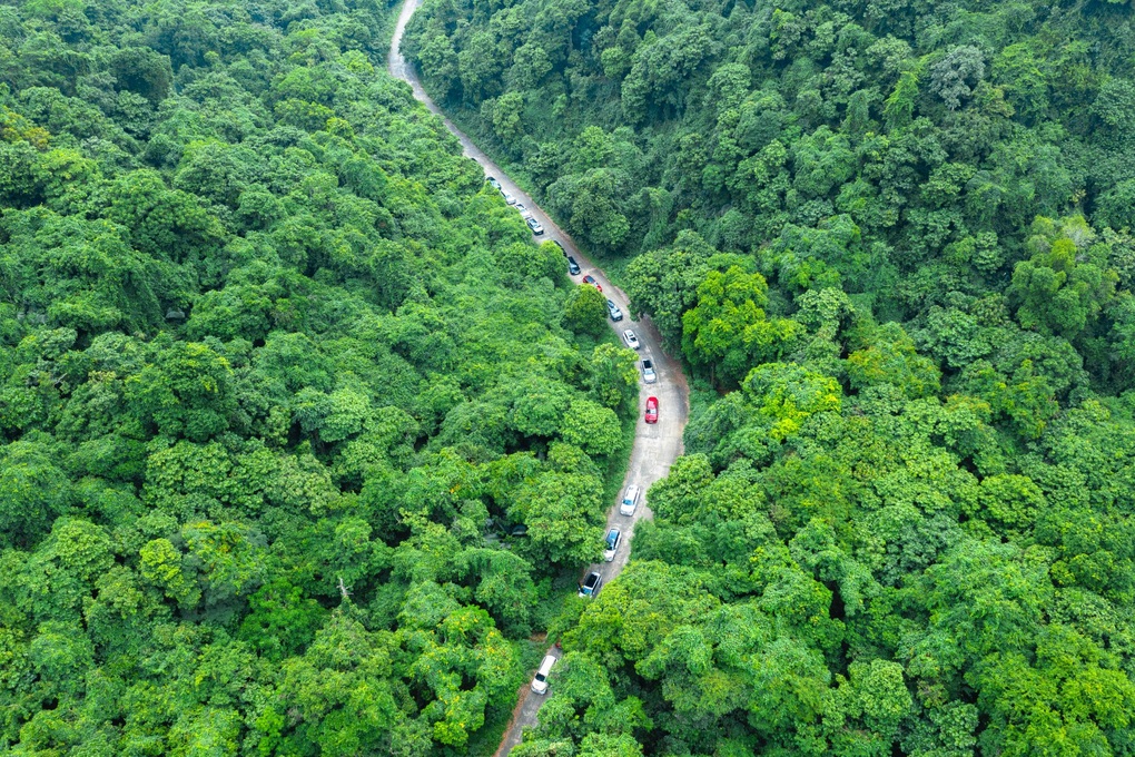 333 xe VinFast VF 9 trên hành trình hơn 100km - 5 333 xe VinFast VF 9 trên hành trình hơn 100km - 5