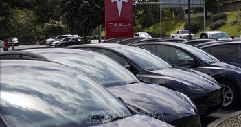 Tesla triệu hồi 1,8 triệu xe do lỗi nắp capo Tesla triệu hồi 1,8 triệu xe do lỗi nắp capo