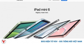 iPad mini 6 lộ diện thông số kỹ thuật và màu sắc iPad mini 6 lộ diện thông số kỹ thuật và màu sắc