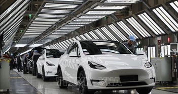 Tesla triệu hồi 1,68 triệu ô tô tại Trung Quốc để sửa phần mềm Tesla triệu hồi 1,68 triệu ô tô tại Trung Quốc để sửa phần mềm