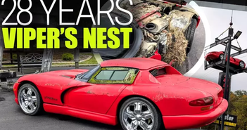 Đại lý chơi lớn từng dùng Dodge Viper "mới cứng" làm biển hiệu Đại lý chơi lớn từng dùng Dodge Viper "mới cứng" làm biển hiệu