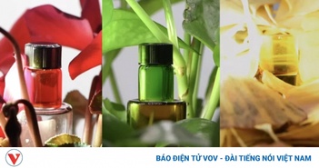 Trung Quốc tạo vật liệu tàng hình giống tắc kè hoa không dùng điện Trung Quốc tạo vật liệu tàng hình giống tắc kè hoa không dùng điện