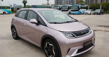 Dolphin - "xe cá heo" rẻ nhất của BYD, khoảng 700 triệu tại Việt Nam Dolphin - "xe cá heo" rẻ nhất của BYD, khoảng 700 triệu tại Việt Nam