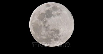 Nhật Bản nghiên cứu hiện thực hóa 'giấc mơ' định cư trên Mặt Trăng Nhật Bản nghiên cứu hiện thực hóa 'giấc mơ' định cư trên Mặt Trăng