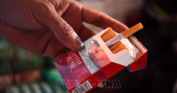 Nghiên cứu mới mở ra hướng phòng ngừa ung thư cho người hút thuốc Nghiên cứu mới mở ra hướng phòng ngừa ung thư cho người hút thuốc