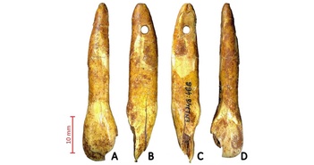 Bí ẩn chưa có lời giải từ mặt dây chuyền niên đại 7.900 năm tại Litva Bí ẩn chưa có lời giải từ mặt dây chuyền niên đại 7.900 năm tại Litva