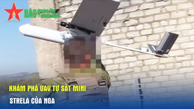 Khám phá UAV tự sát mini Strela của Nga