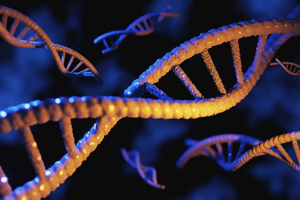 Lo ngại về công nghệ mới có thể 'hút DNA từ không khí'