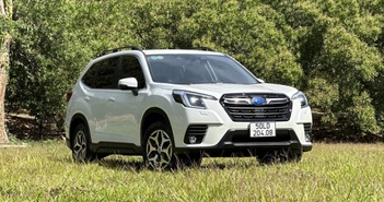 Subaru Forester và Volkswagen Tiguan đua giảm giá trăm triệu đồng Subaru Forester và Volkswagen Tiguan đua giảm giá trăm triệu đồng