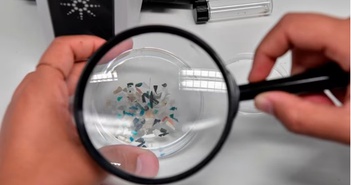 Lá cây hấp thụ vi nhựa trong không khí - Nguy cơ với môi trường và sức khỏe Lá cây hấp thụ vi nhựa trong không khí - Nguy cơ với môi trường và sức khỏe