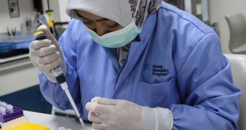 Wolbachia - 'Khắc tinh' của muỗi vằn gây bệnh sốt xuất huyết Wolbachia - 'Khắc tinh' của muỗi vằn gây bệnh sốt xuất huyết