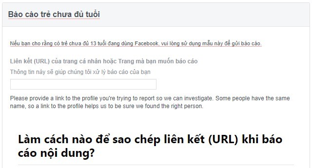 Báo cáo tài khoản trẻ em dưới 13 tuổi Báo cáo tài khoản trẻ em dưới 13 tuổi