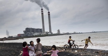 Đầu tư sản xuất amoniac 'xanh' ở Indonesia Đầu tư sản xuất amoniac 'xanh' ở Indonesia