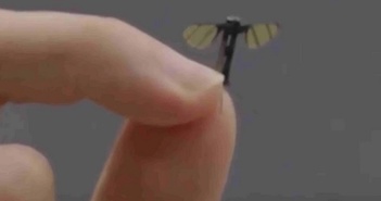 Quân đội Trung Quốc tiết lộ UAV nhỏ bằng muỗi làm nhiệm vụ tác chiến Quân đội Trung Quốc tiết lộ UAV nhỏ bằng muỗi làm nhiệm vụ tác chiến