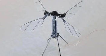 Trung Quốc ra mắt UAV kích thước bằng con muỗi để giám sát bí mật Trung Quốc ra mắt UAV kích thước bằng con muỗi để giám sát bí mật