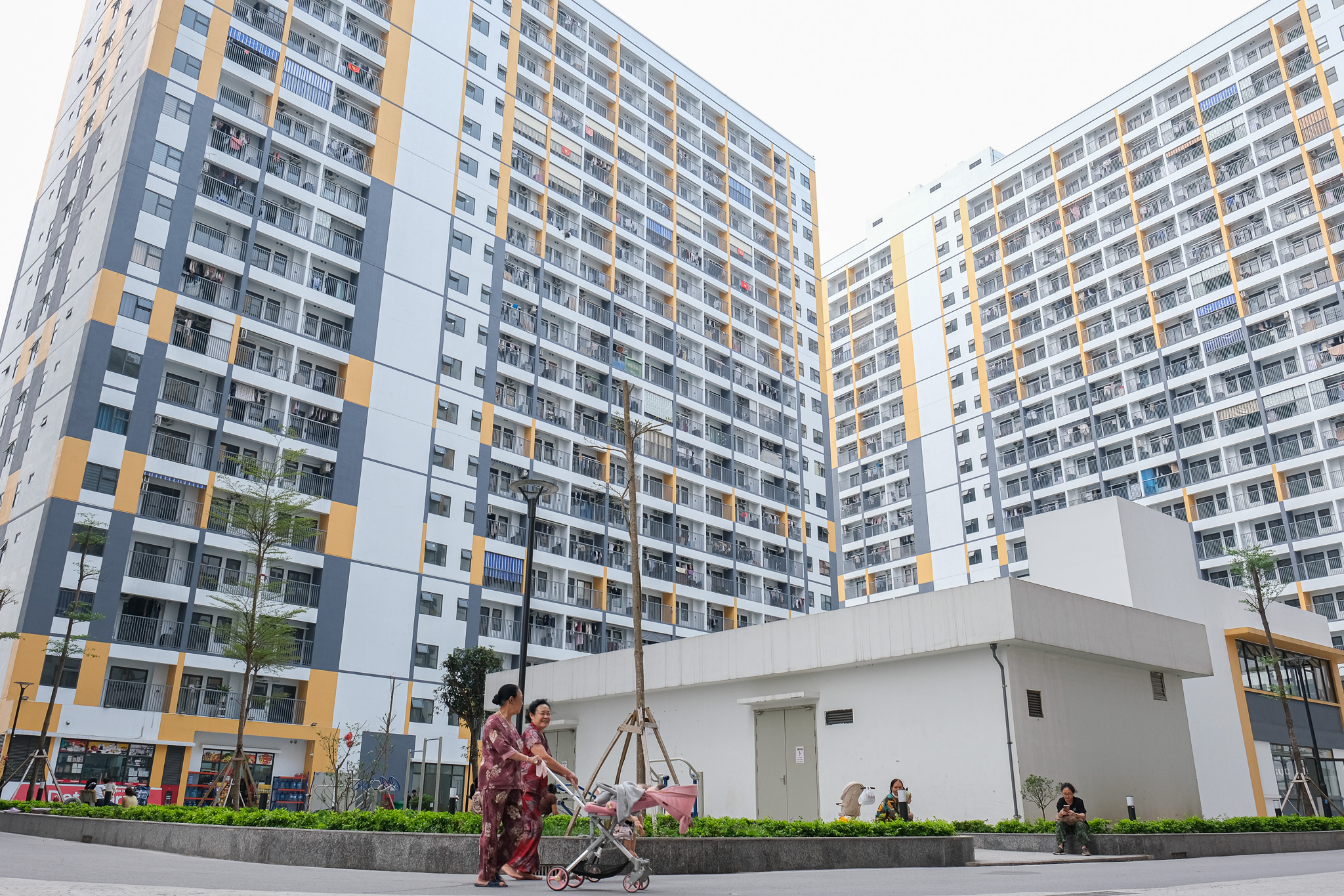 Thủ tướng yêu cầu phát triển cơ sở dữ liệu quốc gia về đất đai, kiểm soát tài sản thu nhập