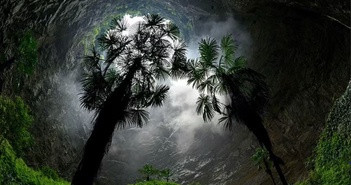 Động đất cung cấp năng lượng cho sự sống ẩn giấu nơi sâu thẳm của Trái Đất Động đất cung cấp năng lượng cho sự sống ẩn giấu nơi sâu thẳm của Trái Đất