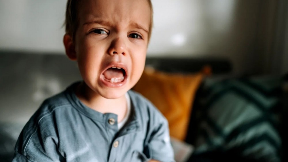 7 cụm từ hữu ích giúp cha mẹ xử lý cơn giận dữ của trẻ mà không cần la mắng