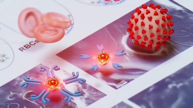 Xét nghiệm 'nano vàng' giá rẻ giúp phát hiện bệnh chết người qua một giọt máu